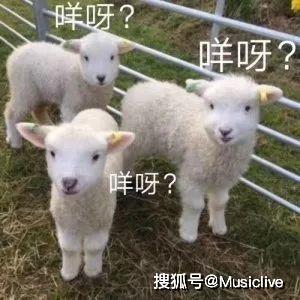 小羊最新爆料视频大全,揭秘娱乐圈幕后真相 第2张 小羊最新爆料视频大全,揭秘娱乐圈幕后真相 第2张