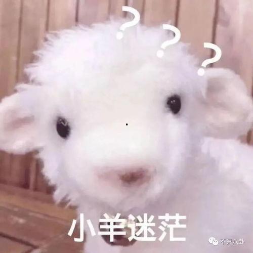 小羊最新爆料视频大全,揭秘娱乐圈幕后真相 第3张 小羊最新爆料视频大全,揭秘娱乐圈幕后真相 第3张
