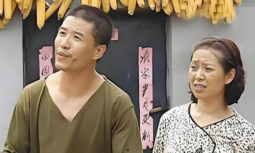 乡村爱情1在线观看,笑料百出，情感真挚的农村生活画卷  第2张