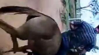 骡子在线观看,探寻古代丝绸之路的传奇故事 第3张 骡子在线观看,探寻古代丝绸之路的传奇故事 第3张