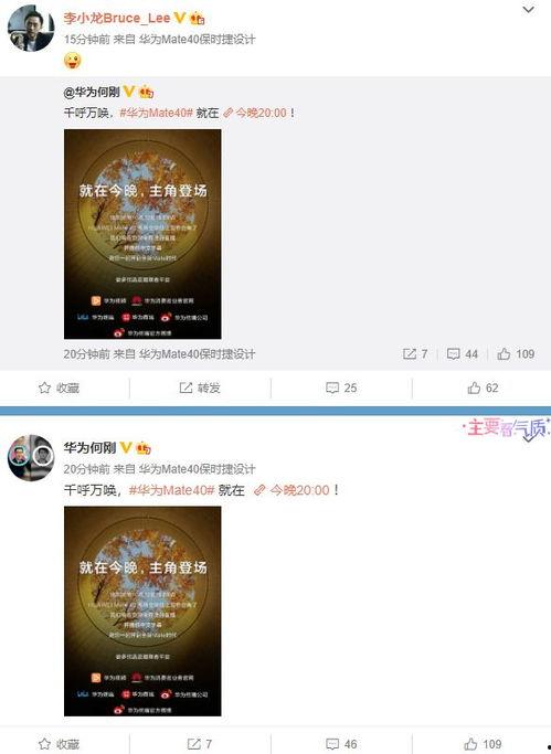 最新羊毛爆料视频播放大全,揭秘热门项目背后的真实内幕  第3张