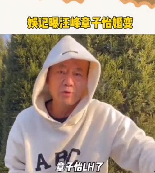 汪峰吃瓜爆料视频大全集,吃瓜爆料视频大全集  第3张