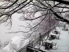 下雪了的爆料视频,揭秘下雪了的神秘爆料视频  第1张
