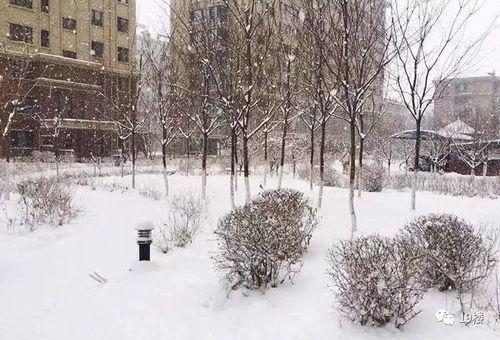 下雪了的爆料视频,揭秘下雪了的神秘爆料视频  第2张