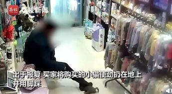 噗噗宠物店爆料视频,独家爆料视频带你探秘宠物生活圈