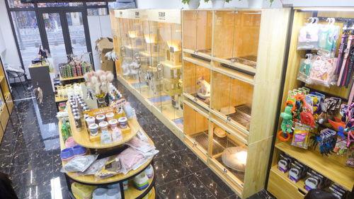 噗噗宠物店爆料视频,独家爆料视频带你探秘宠物生活圈  第2张