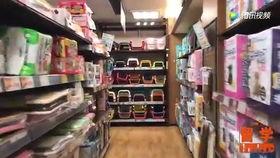 噗噗宠物店爆料视频,独家爆料视频带你探秘宠物生活圈  第3张