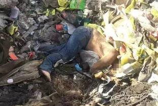 新闻爆料大车车祸现场视频,事故原因引关注 第2张 新闻爆料大车车祸现场视频,事故原因引关注 第2张