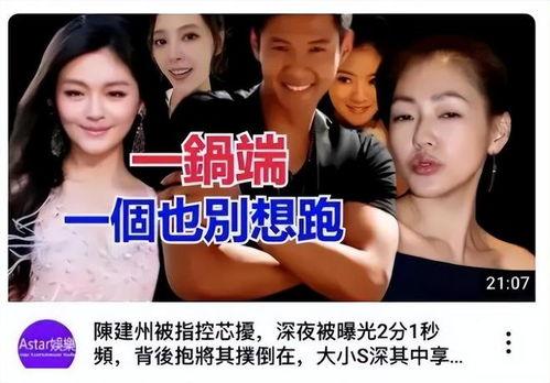 台媒爆料陈建州视频播放,台媒曝陈建州视频播放引发热议