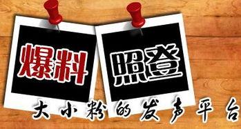 龙州新闻爆料,揭秘当地热点事件背后的真相 第1张 龙州新闻爆料,揭秘当地热点事件背后的真相 第1张