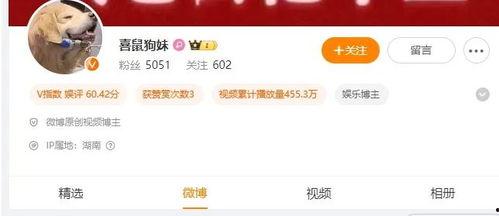 威佳集团最新爆料事件视频,视频揭露惊人内幕，真相即将揭晓  第3张
