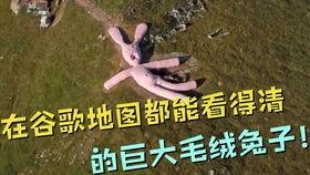 飞行兔子在线观看,飞行兔子在线观看之旅 第2张 飞行兔子在线观看,飞行兔子在线观看之旅 第2张