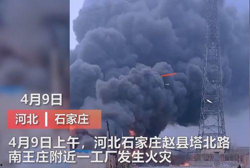 深圳黑厂爆料事件真相视频,揭露黑暗产业链背后的残酷现实