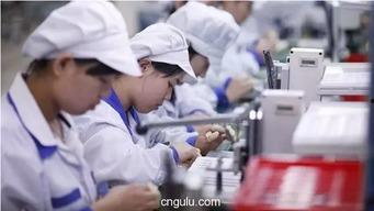 深圳工厂最新爆料,最新爆料揭示产业变革与未来趋势  第1张