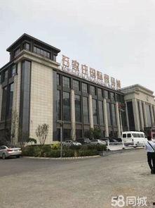 河北皮革城最新爆料,揭秘行业新动态与市场趋势  第2张
