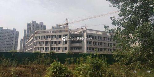 武邑中学爆料新闻最新,揭秘校园风云事件背后的真相