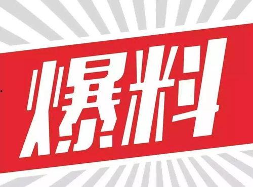 娱乐大爆料 素材视频,揭秘热门素材视频背后的精彩故事