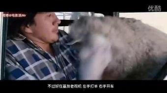 疯羊在线观看免费观看,免费畅享欢乐时光  第3张