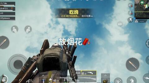 吃鸡爆料烟花视频,揭秘最新爆料视频  第2张