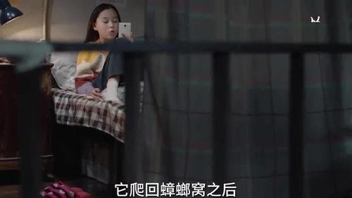 爆料小孩姐姐是谁啊视频,爆料视频中的小孩姐姐身份之谜
