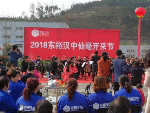 特区新闻广场爆料茶叶,茶叶背后的秘密与传奇  第2张