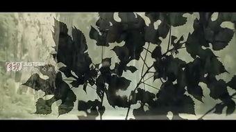 野狼谷在线观看,在线探险，揭秘神秘山谷的惊险之旅  第2张