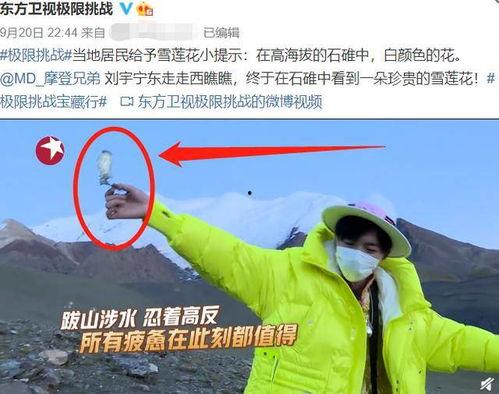 二宁最新爆料新闻事件,揭秘娱乐圈惊人内幕