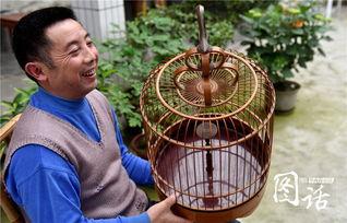花鸟笼在线观看影片,穿越时空的美丽邂逅  第2张