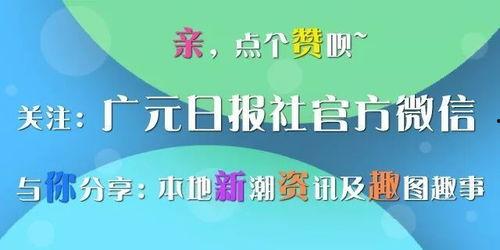 四川新闻网广元爆料电话,网友爆料电话助力民生问题解决