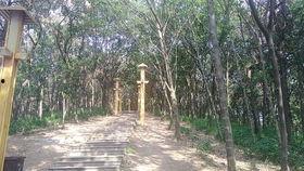 信阳震雷山最新爆料,揭秘神秘古墓群背后的历史之谜