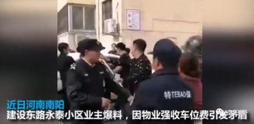 网友爆料南阳打人案件视频,网友曝光惊人打人案件视频