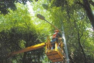 成都武侯祠最新爆料信息,历史遗迹与文化新篇