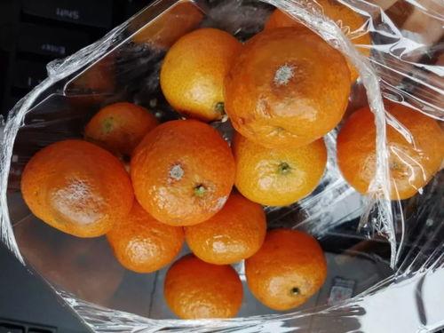 一坨小橙子爆料视频大全,揭秘娱乐圈幕后故事