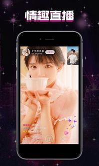 猫咪爆料视频大全集下载,萌宠瞬间，笑料横生  第3张