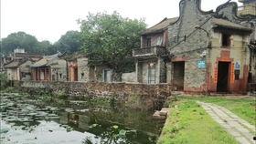 东莞茶山镇爆料事件视频,视频揭露惊人真相