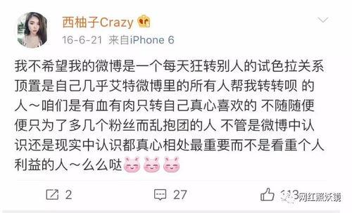 网课最新爆料内幕,最新爆料内幕大曝光