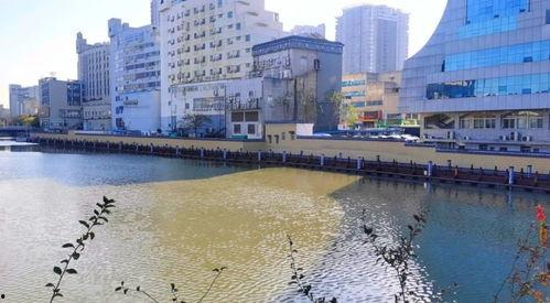 丹东凤城爆料最新消息,揭秘事件真相，引发社会关注