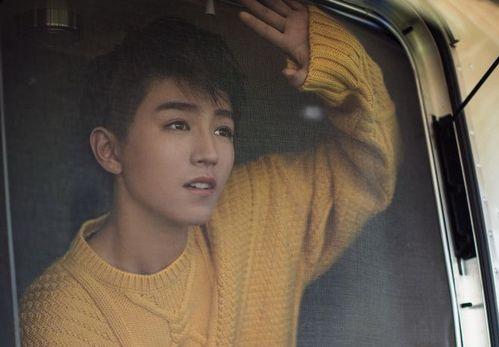 王导爆料王俊凯视频大全,王俊凯视频大全背后的精彩瞬间