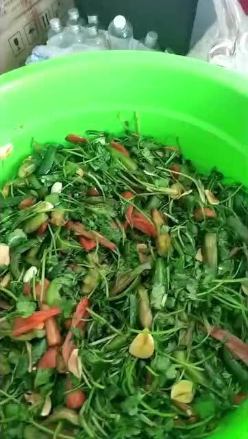 爆料咸菜视频大全  第2张