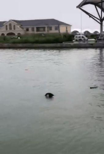 吕四最新爆料 第2张 吕四最新爆料 第2张