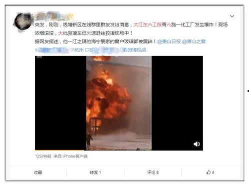 李宝敏最新爆料视频播放,事件真相再引热议