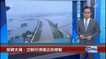 堤在线观看,揭秘中国水利工程的智慧守护 第3张 堤在线观看,揭秘中国水利工程的智慧守护 第3张